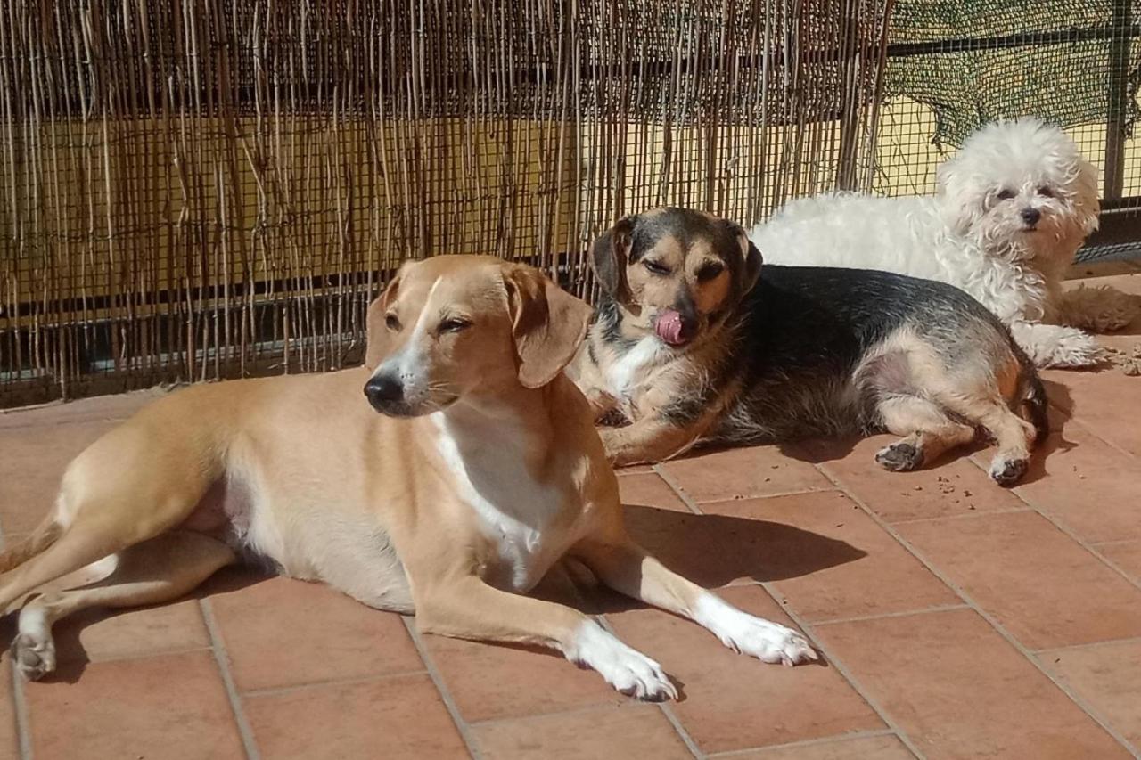 L'Angolo Di Betti Rivergaro Exterior foto
